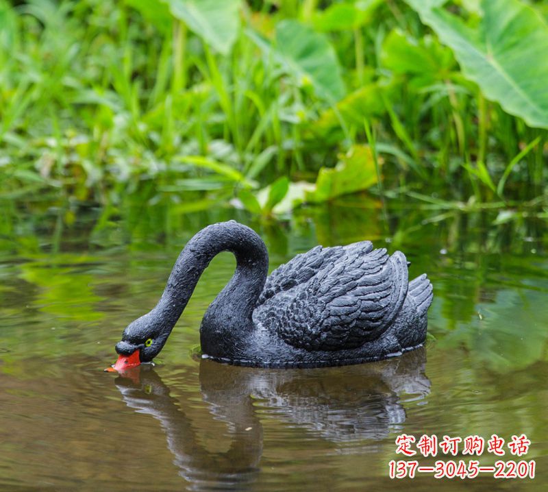 济宁黑天鹅喝水款-池塘水塘装饰动物雕塑摆件