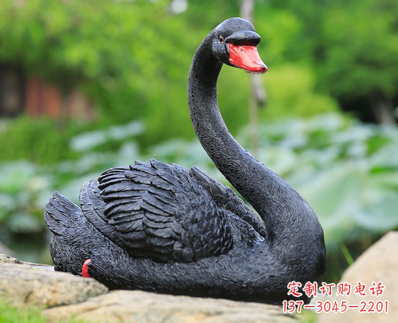 济宁黑色天鹅卧姿雕塑-园林水景动物摆件